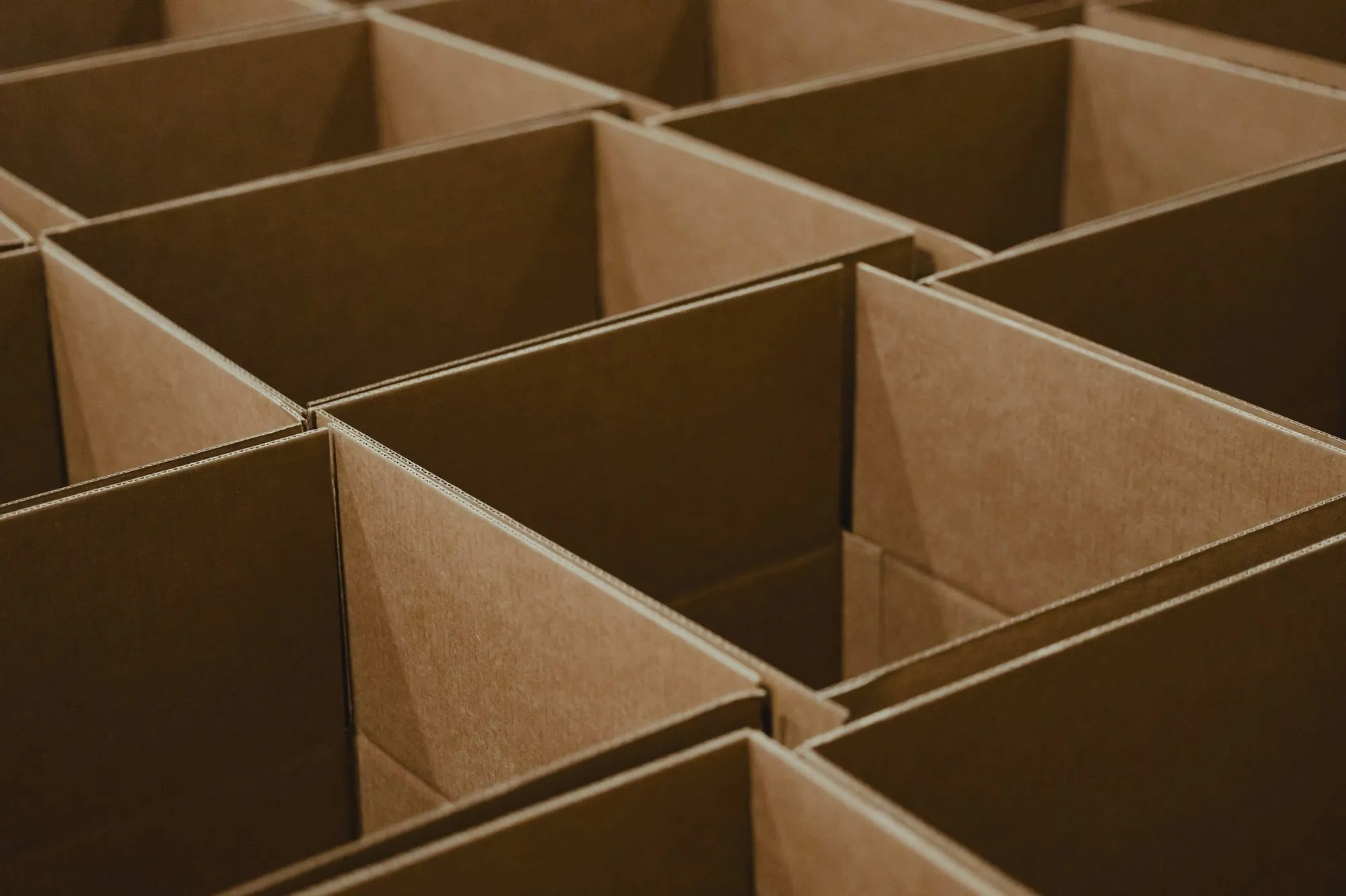 Open shipping cartons ready for packing